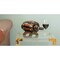 Vintiquewise Wooden Wine Barrel Shaped Vintage Decorative Single Bottle Wine Holder QI003661 - alternate 6